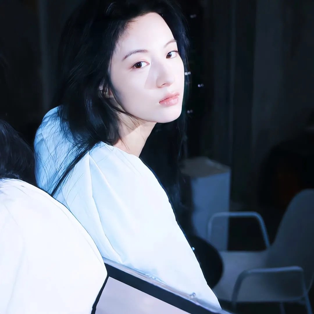 年度鸟事