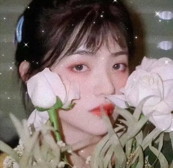 女人不坏,男人不爱
