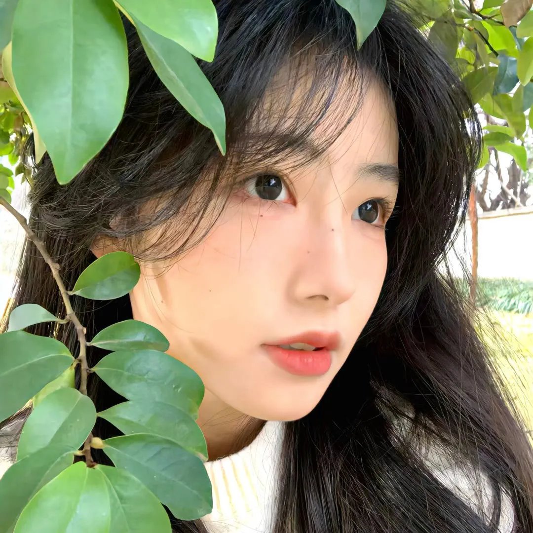 山河同在